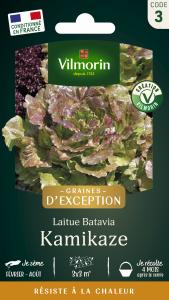 Laitue Batavia Kamikaze - Graines d'Exception